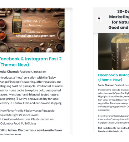 30-Day Blitz Sample Posts by Success Pro Digital