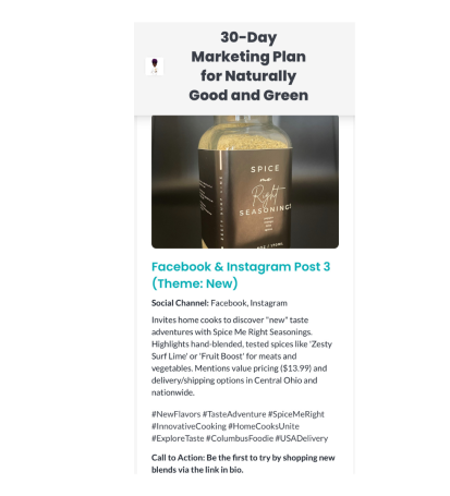 30-Day Blitz Sample Posts by Success Pro Digital