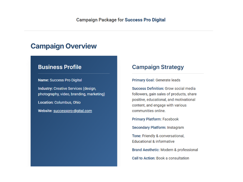 30-Day Blitz Package includes A clear campaign overview—your goals, platforms, tone, and strategy in one place.