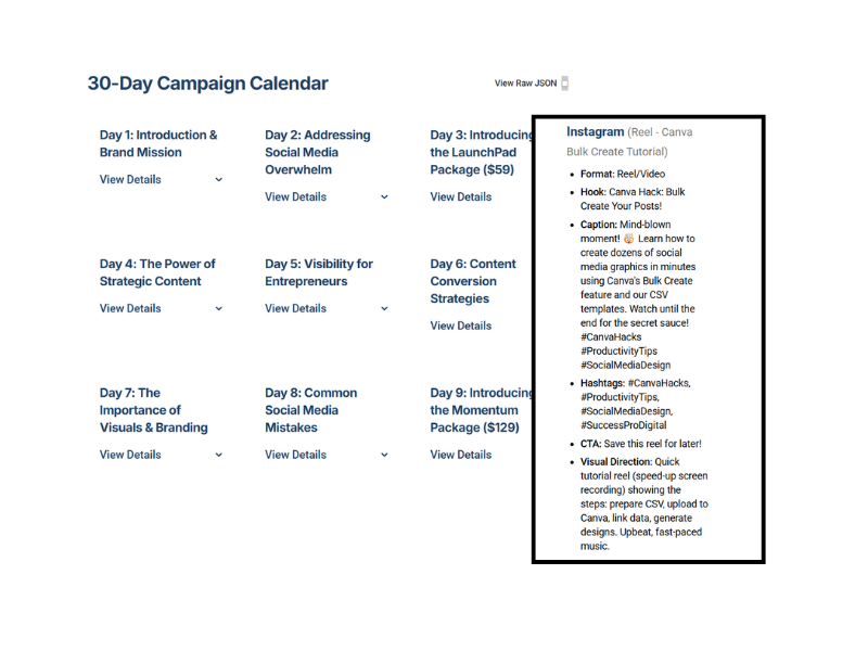 Success Pro Digital 30-Day Blitz Package is a clear campaign overview—your goals, platforms, tone, and strategy in one place.